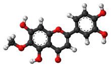 Ball-and-stick model of nepetin