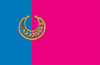 Flag of Nikopol Raion