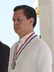 Vice-President Noli de Castro