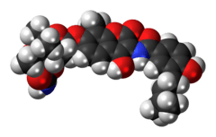 Space-filling model of the novobiocin molecule