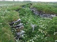 Nybster Broch, in Caithness