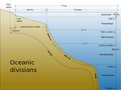 Drawing showing divisions according to depth and distance from shore