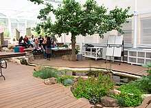 Ohalo - Biophilic Learning Space