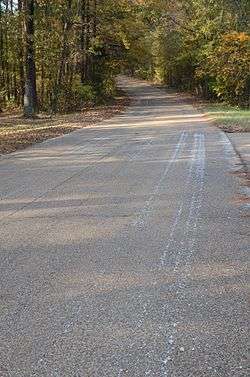 Old US 79, Kingsland Segment