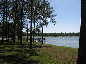 Open Pond and pine trees.