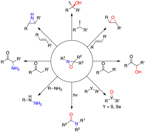 Oxaziridine Reactions