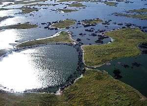 Plain with forests, grassland, rivers and many lakes.