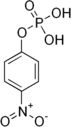 Skeletal formula of para-nitrophenylphosphate