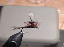 dry fly in vise