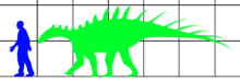 Silhouette of Paranthodon is shown to be three times longer than the human silhouette is tall