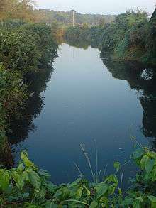 Peaceful, tree-lined river