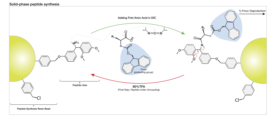 Table of amino acids