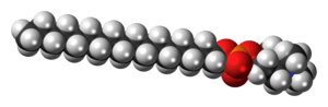 Space-filling model of the perifosine zwitterion