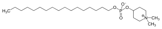 Skeletal formula of perifosine