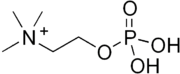 Skeletal formula