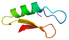 Cartoon representation of the secondary structure of plectasin.