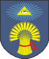 A coat of arms depicting the Eye of Providence with a blue iris encapsulated in a golden triangle surrounded in golden rays all on a blue background