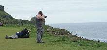 Watching puffins