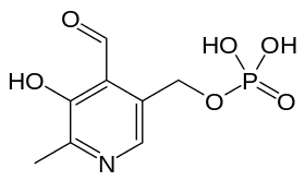 The chemical structure of pyridoxal phosphate, a form of vitamin B6.