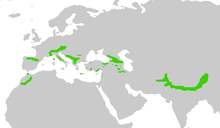 This bird is resident in mountains in Morocco, Spain, southern Europe, Central Asia, India and China