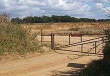 Sandy Lane Pit, Barham