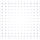 Dense vector field representation.