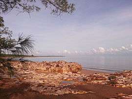 View over the ocean with sand, rocks, and part of a casuarina tree in the foreground