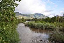 A wide brown river flows between dense shrubs and trees on both banks. Low hills or mountains are visible in the background.