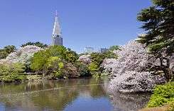 Shinjuku Gyoen National Garden