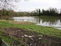 Skaters' Meadow