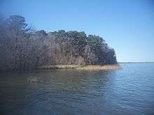 A wooded lake shore with shallow grassy areas