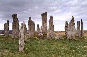 A confused arrangement of individual monoliths of various sizes set in rough ground under cloudy skies.