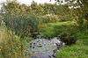 Stotfold Mill Meadows