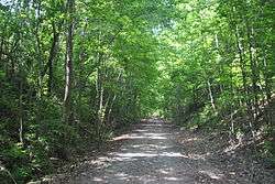 Sulphur Trestle Fort Site