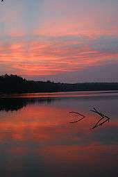 Pink clouds in a dark purple-blue sky are reflected in a smooth lake. At the horizon is a line of dark trees, and two branches stick out of the water in the middle of the image.