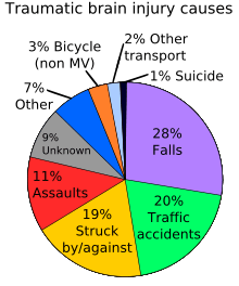 Causes of traumatic brain injury falls make up 28%, traffic accidents 20%, being struck by or against 19%, assault 11%, Non-motorized vehicles 3%, other transportation 2%, unknown 9%, and other 7%.