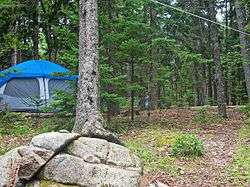 Blackwoods Campground