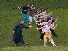 Men practicing Monkey kungfu in City Park (Budapest), Hungary.