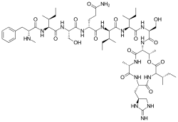 Teixobactin skeleton