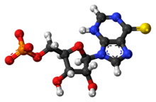 Ball-and-stick model of the thioinosine monophosphate anion