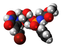 Space-filling model of the thymectacin molecule