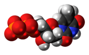 Space-filling model of the Thymidine diphosphate molecule, 3- negative charge