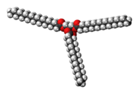 Space-filling model of the tristearin molecule