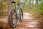 A bike along a trail in Tuskegee National Forest.