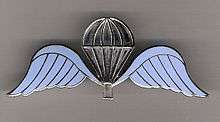 British parachutist badge