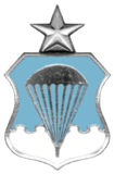 Air Force Senior Parachutist Badge