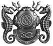 Master diver badge