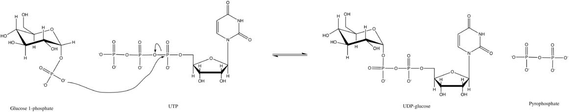 Mechanism