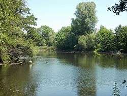 wide river with trees and bushes covering the shoreline