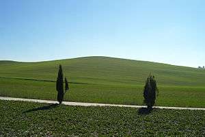 Hilly grass landscape.